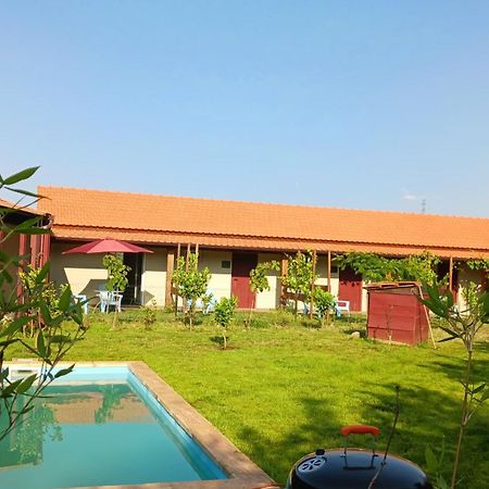 Villa Quinta Do Outono Armamar Exterior foto