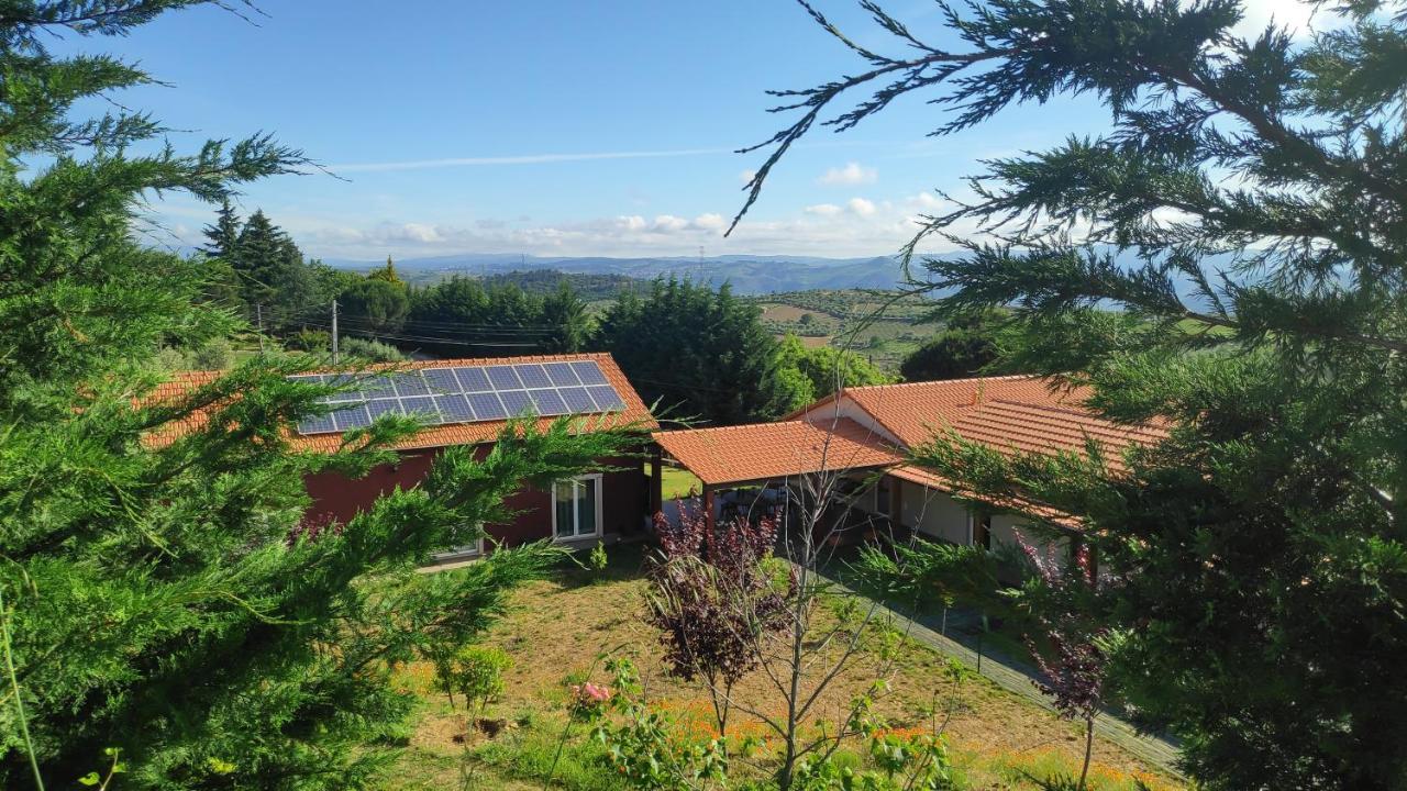Villa Quinta Do Outono Armamar Exterior foto