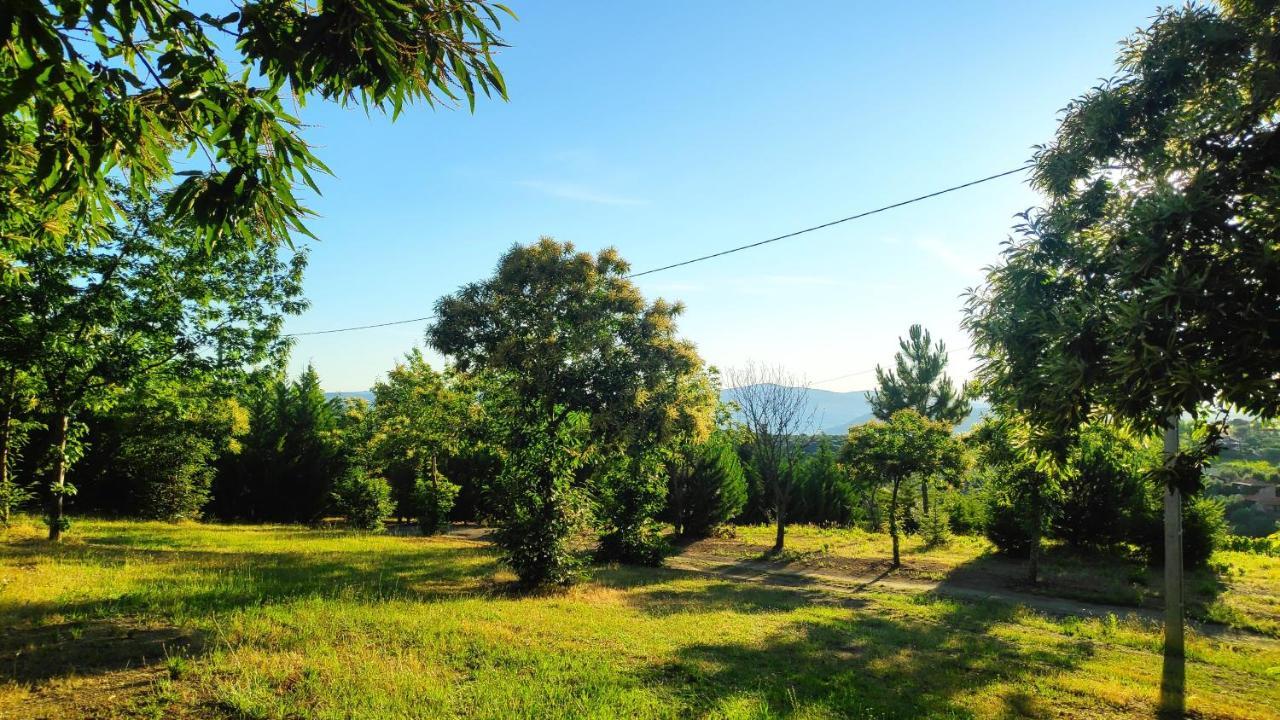 Villa Quinta Do Outono Armamar Exterior foto